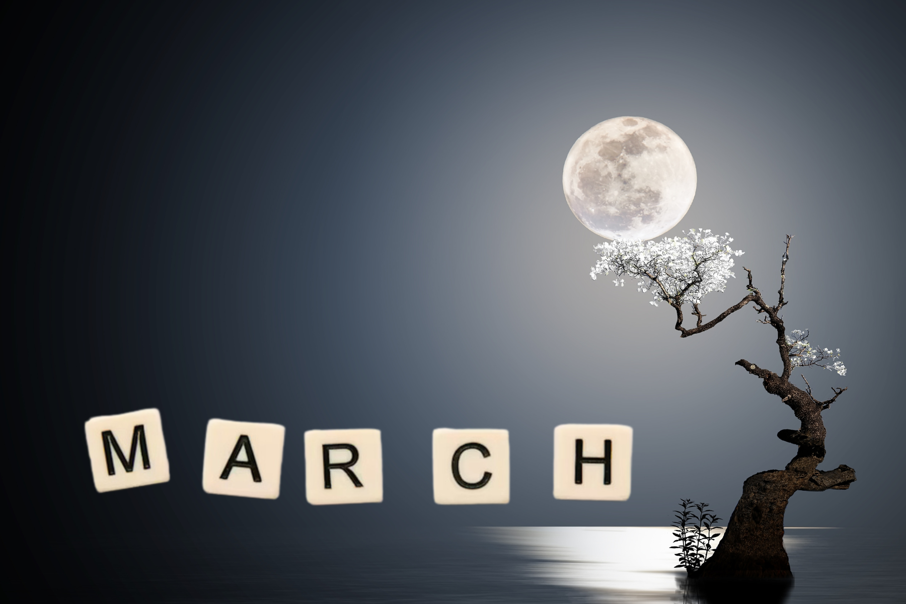 March Horoscope: How to Manifest Your Dream Life in 2025